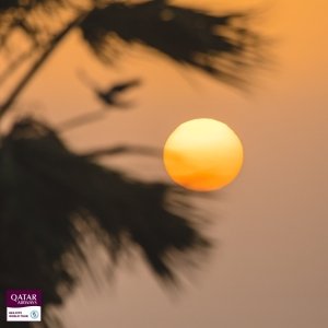 20230203003102-IMG_1728-romantsovaphoto