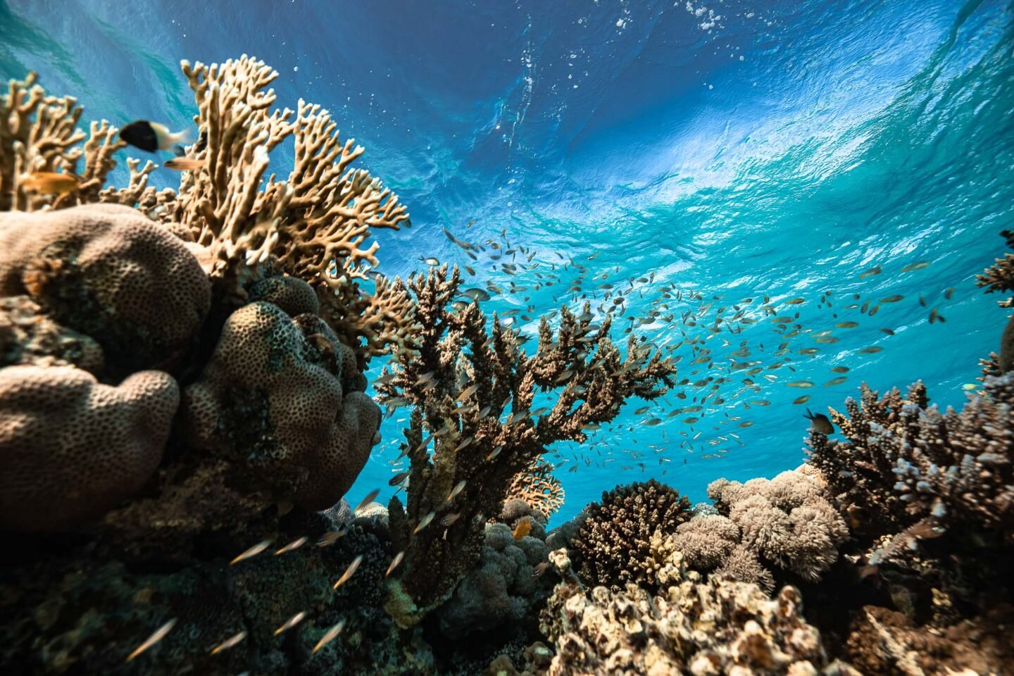 Neom Beach Games 2022