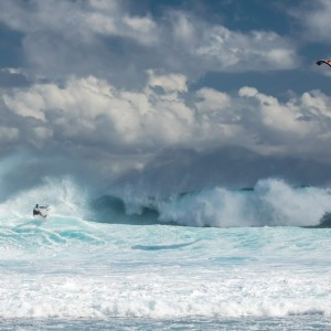 20190913_GKA_MAURITIUS_ROMANTSOVAPHOTO_D57A8827