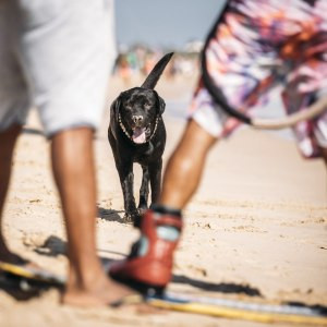 GKA_KWT_Tarifa_Ydwer_Day_01_0623