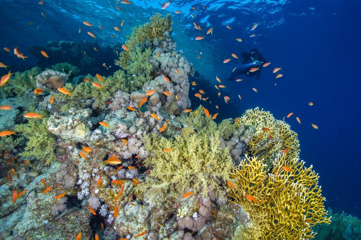 Neom Beach Games 2022