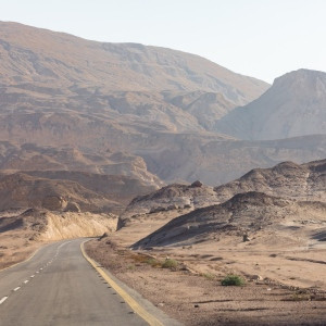 2210231412-D57A0102-romantsovaphoto