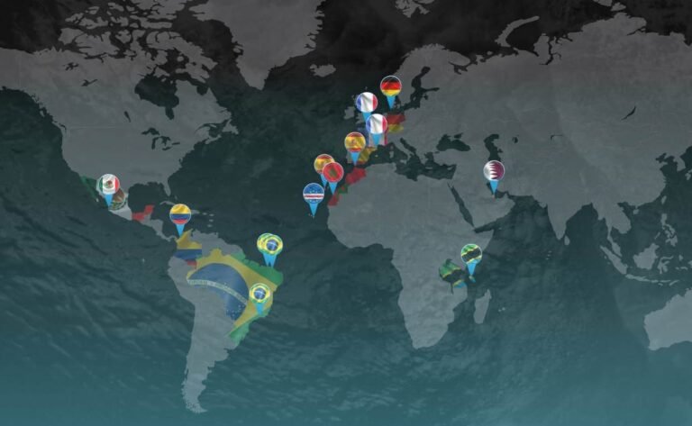 Knockout year on the cards for 2024