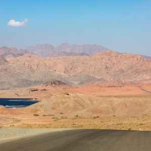 2210231310-D57A9764-romantsovaphoto