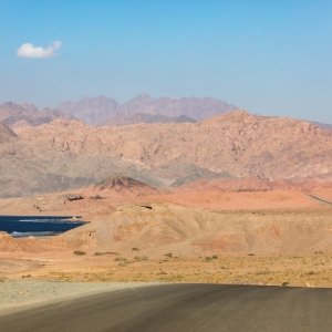 2210231310-D57A9764-romantsovaphoto