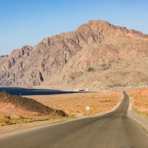 2210231312-D57A9780-romantsovaphoto