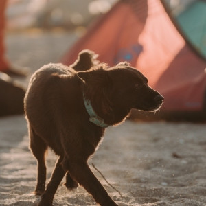 GKA25_LOT_Day1_AndyTroy-08084