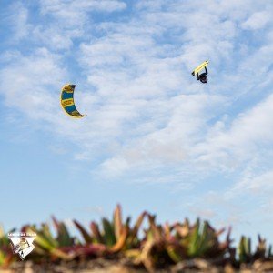 Giel-Vlugt_30000139-GKA23Barcares