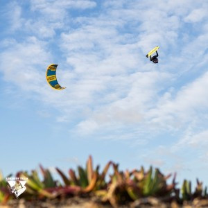 Giel-Vlugt_30000139-GKA23Barcares