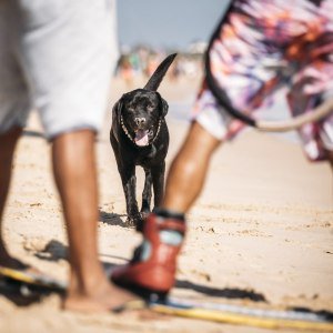 GKA_KWT_Tarifa_Ydwer_Day_01_0623