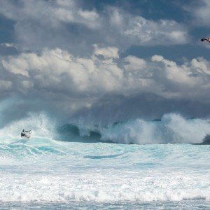 20190913_GKA_MAURITIUS_ROMANTSOVAPHOTO_D57A8827